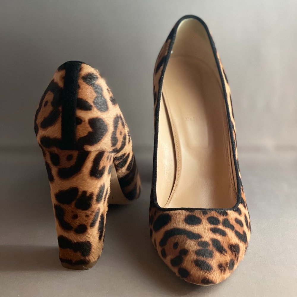 JCrew Stella Hair Calf in Hazelnut Leopard